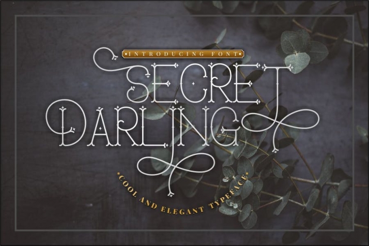 Secret Darling - Classic Monoline Font Font Download