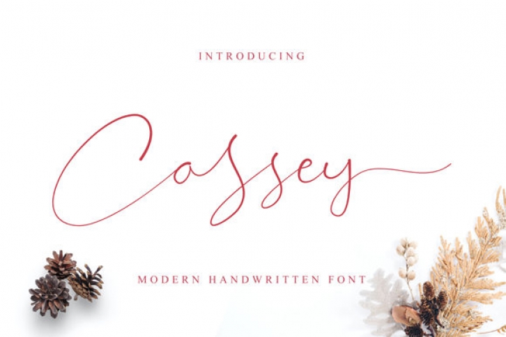 Cassey Font Download