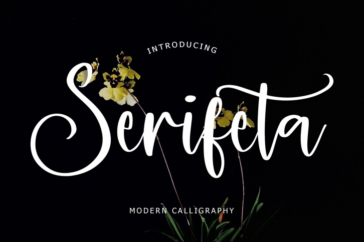 Serifeta Modern Calligraphy Font Download