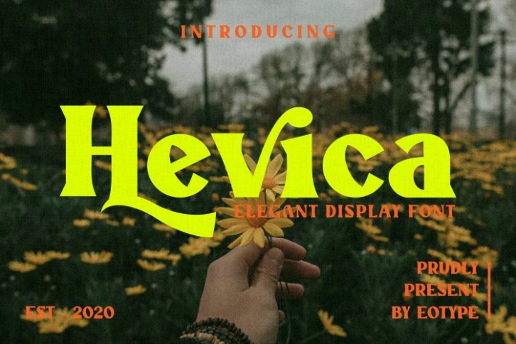 Hevica Multi Purpose Font Font Download