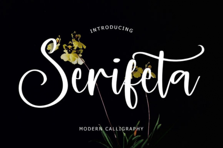 Serifeta Font Download