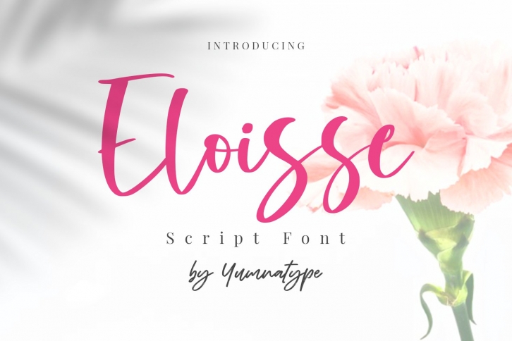Eloisse-Elegant Handwritten Font Font Download