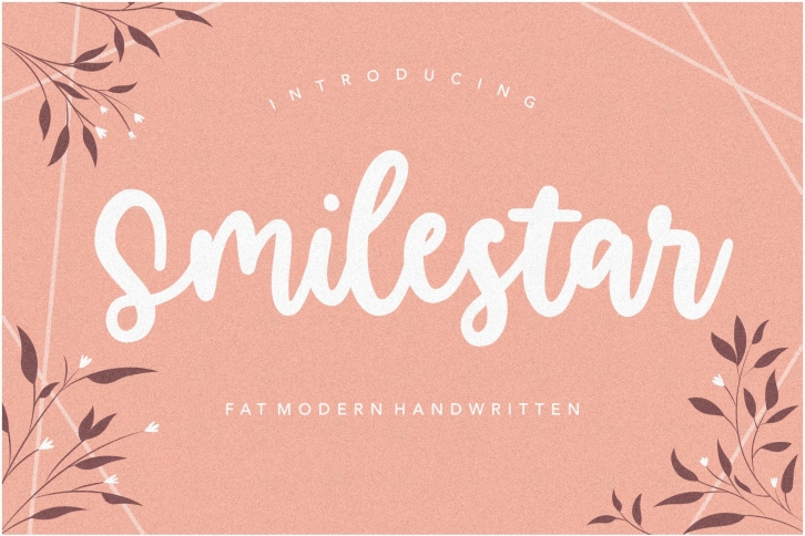 Smilestar is a Fat Modern Handwritten Font Font Download