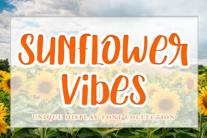 Sunflower Vibes Font Download