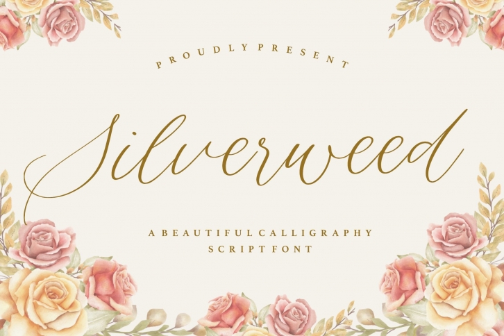 Silverweed Beautiful Calligraphy Script Font Font Download