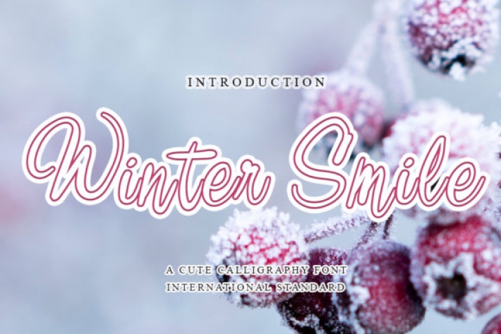Winter Smile Font Download