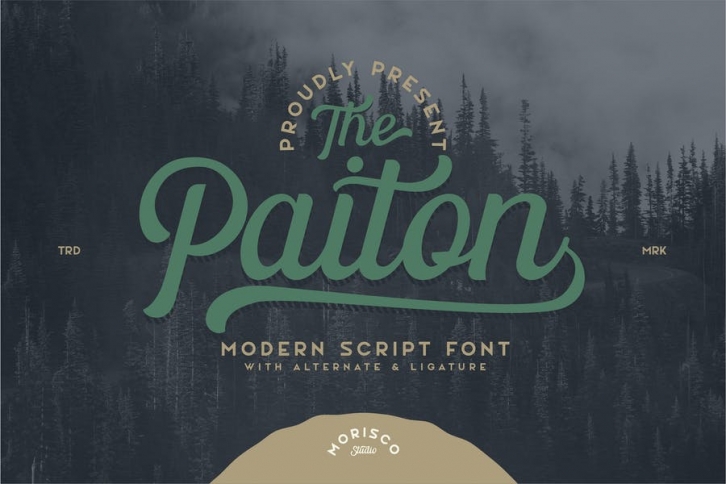 The Paiton -Modern Script Font Font Download