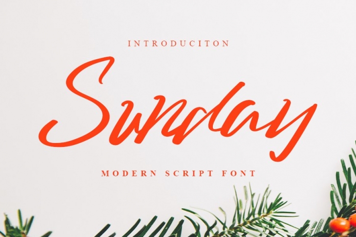 Sunday - Modern Script Font Font Download