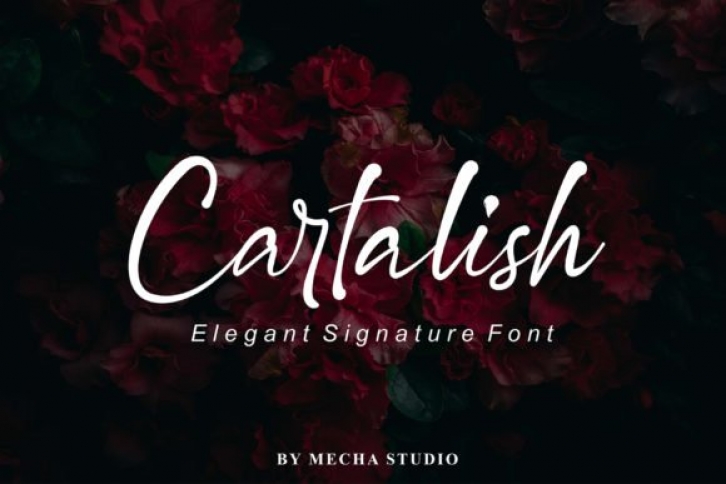 Cartalish Font Download