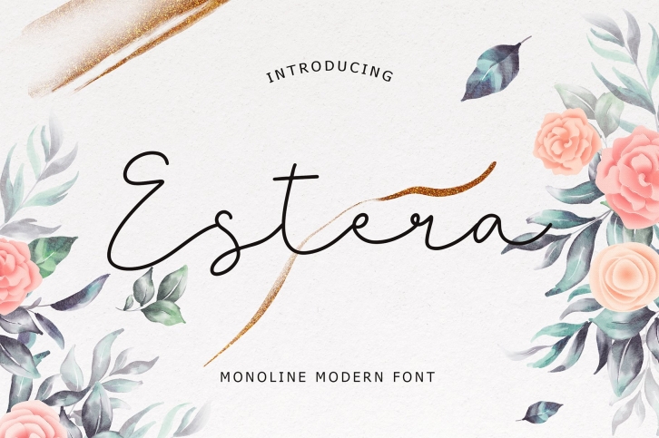 Estera Monoline Modern Font Font Download