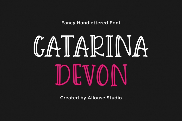 Web Font - Catarina Devon - Fancy Handlettered Font Font Download