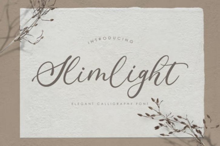 Slimlight Font Download