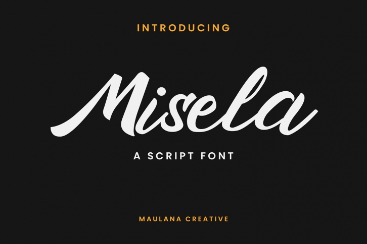 Misela Script Font Font Download