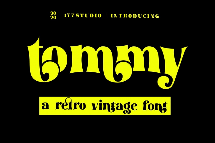 tommy - Retro Serif Font Font Download
