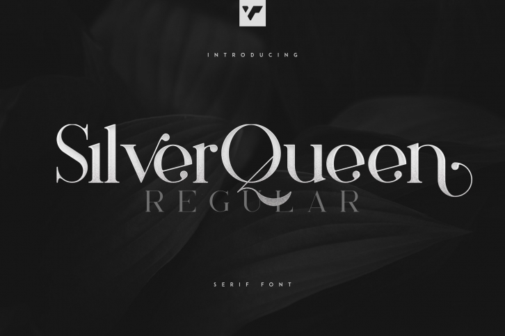 Silver Queen Serif Regular Font Download