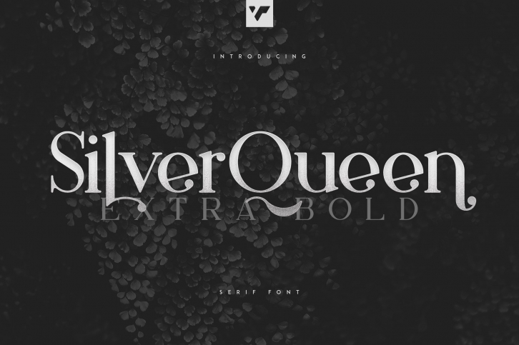 Silver Queen Serif Extra Bold Font Download