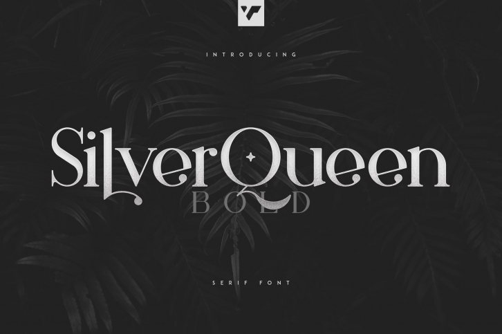 Silver Queen Serif Bold Font Download