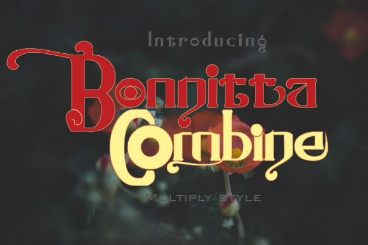 Bonnitta Combine Font Download