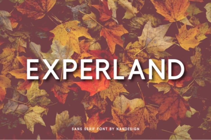 Experland Font Download