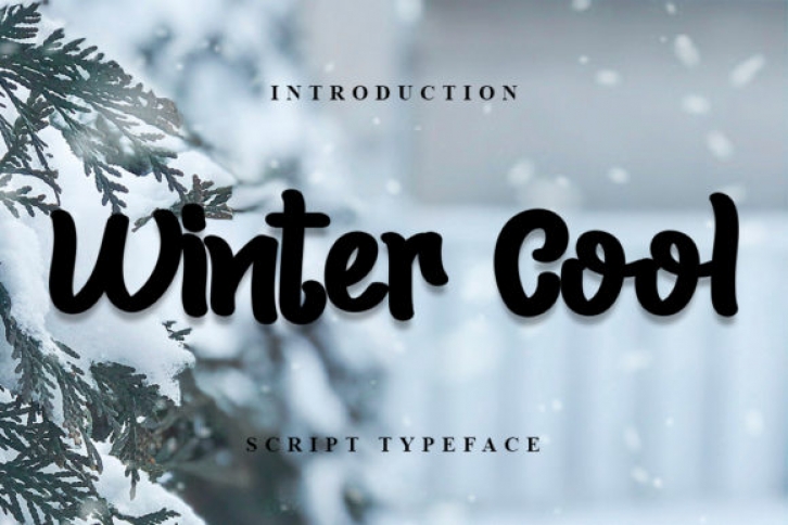 Winter Cool Font Download