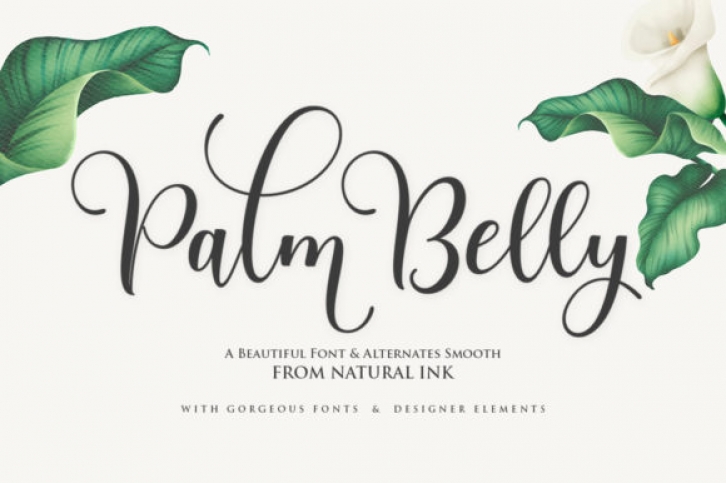 Palm Belly Font Download