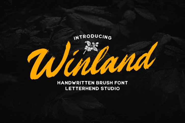 Winland - Brush Font Font Download