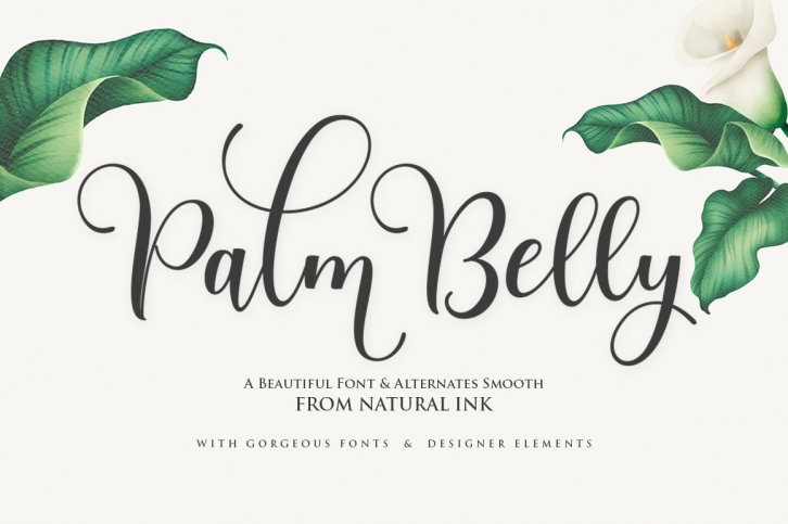 Palm Belly Script Font Download