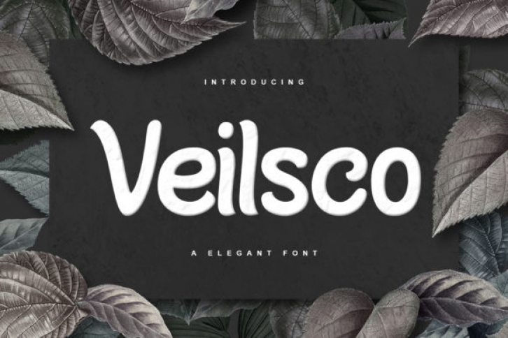 Veilsco Font Download