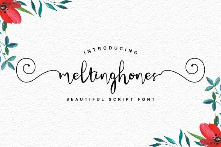 Meltinghones Font Download