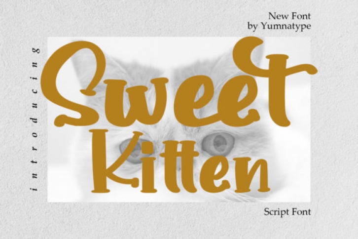 Sweet Kitten Font Download