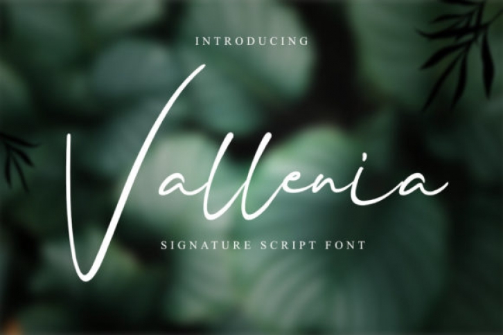 Vallenia Font Download