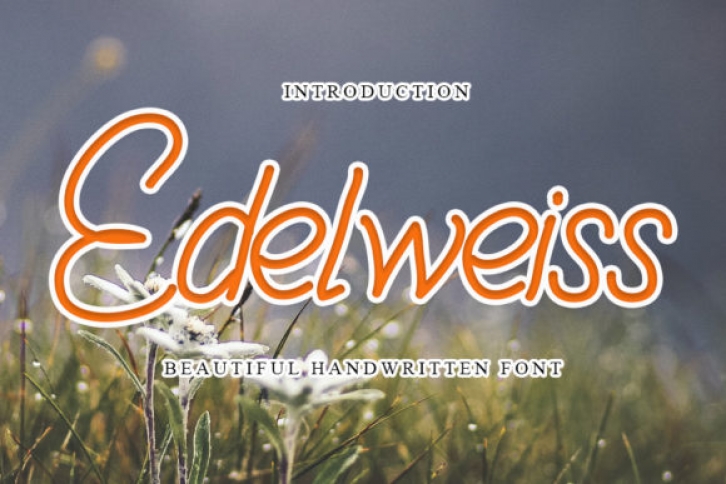 Edelweiss Font Download