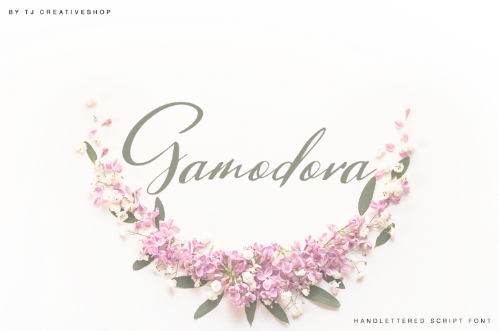 Gamodora Font Download