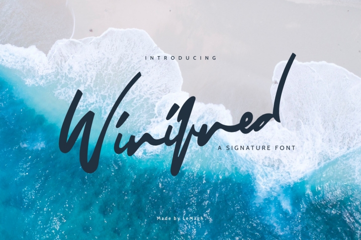Winifred - Signature Font - 75% OFF Font Download