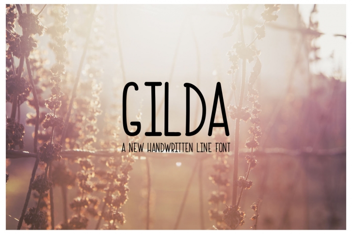 Gilda Font Font Download