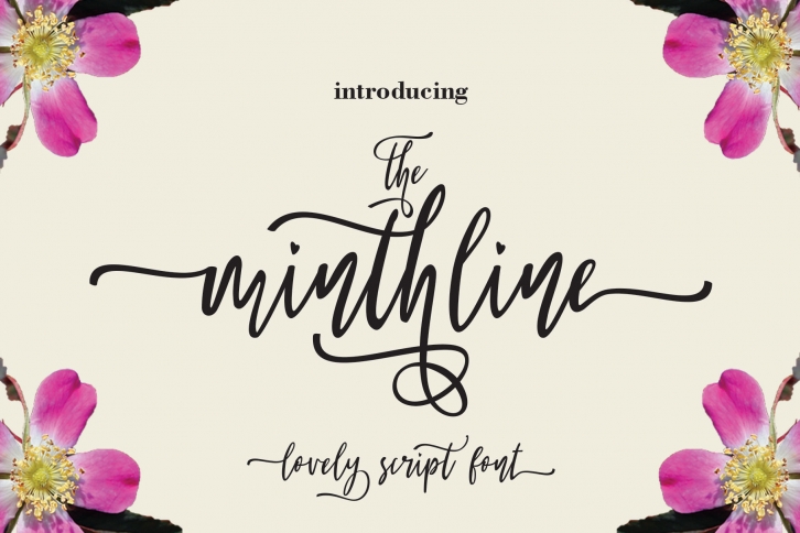 The Minthline Font Download