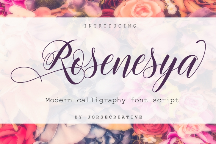 Rosenesya Font Download