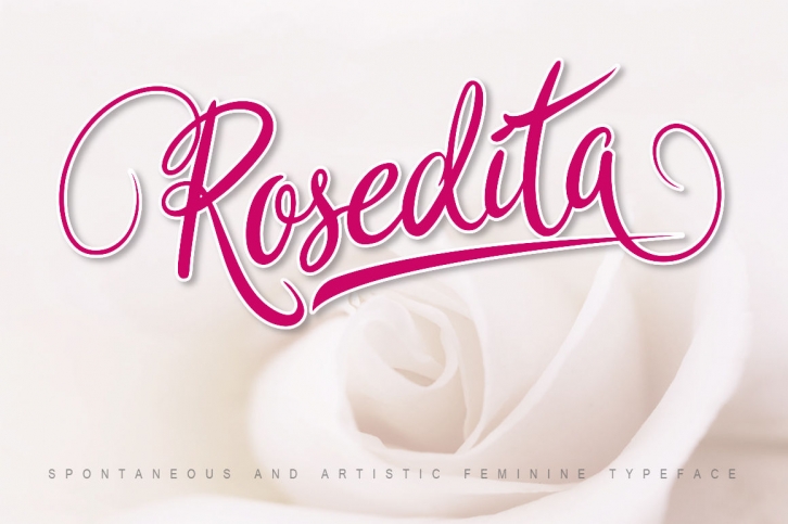 Rosedita Script Font Font Download