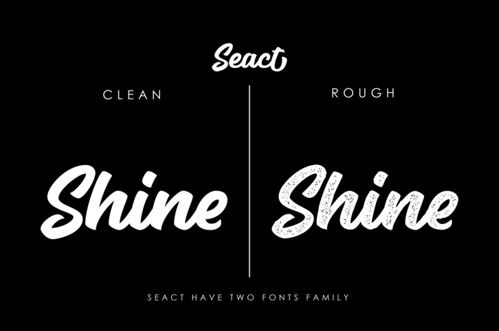 Seact Font Download