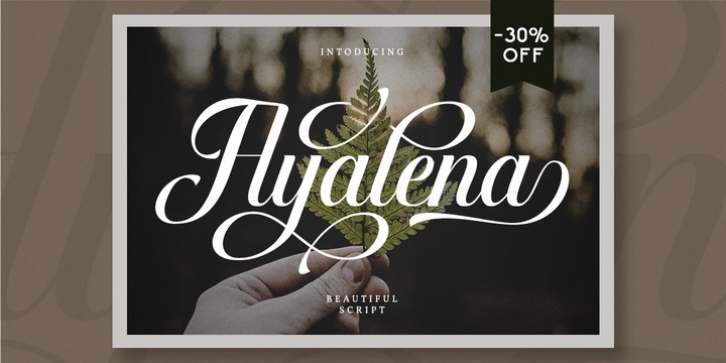 Ayalena Font Download