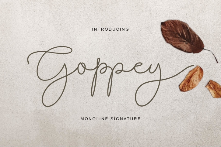 Goppey Font Download