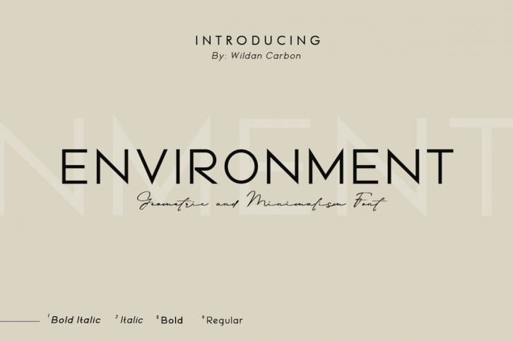 Environment Font Download