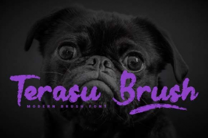 Terasu Brush Font Download