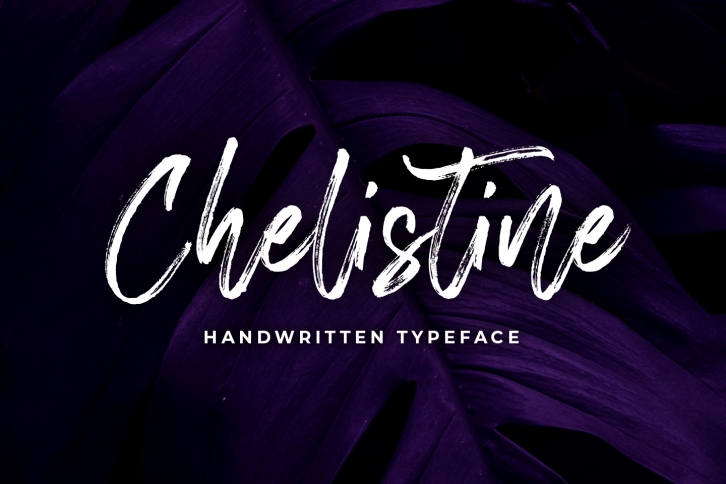 Chelistine -Handbrush script- Font Download