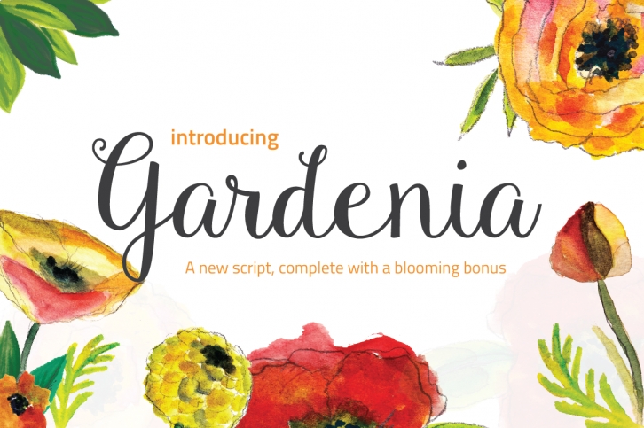 Gardenia Script + Bonus Font Download