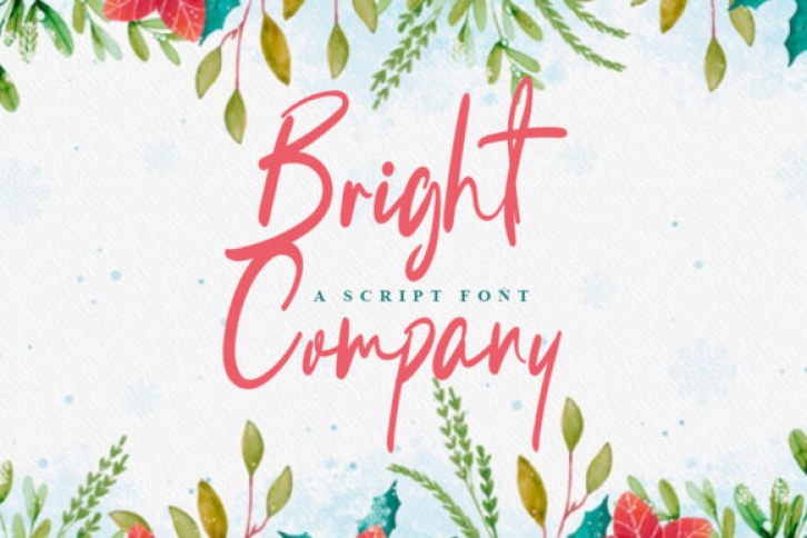 Bright Company Font Download
