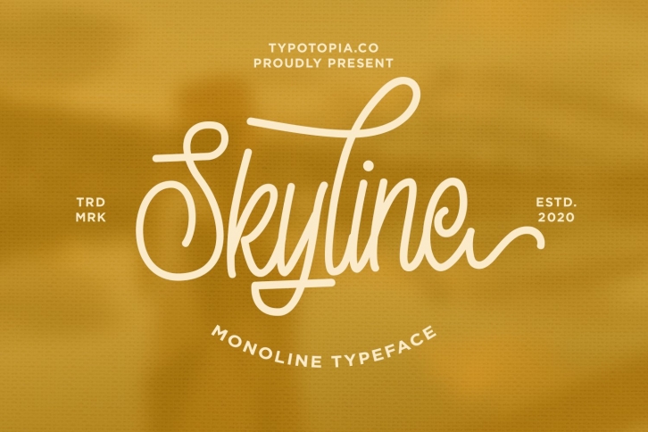 Skyline Monoline Script Font Font Download