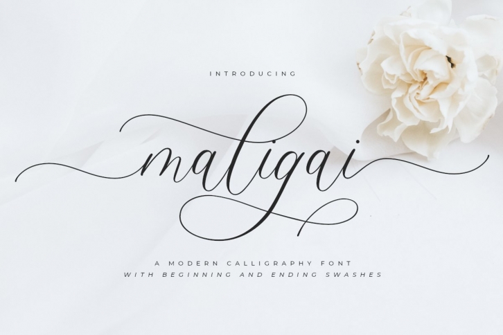 Maligai Font Download