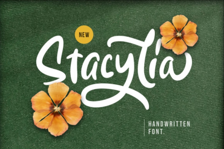 Stacylia Font Download