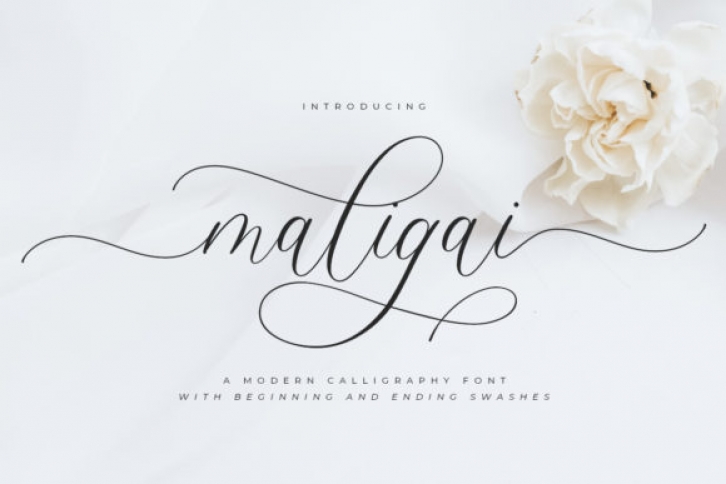 Maligai Font Download